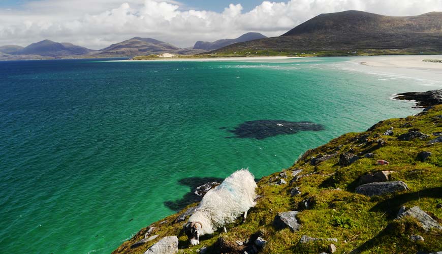 Luskentyre and Seilebost