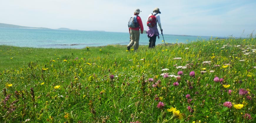 Summer in Scotland