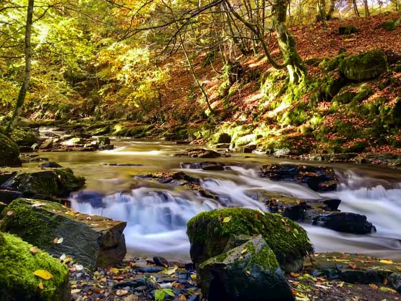 Photo looking across mossy rocks to a flowing river. Taken on a sunny autumn day in the forest.