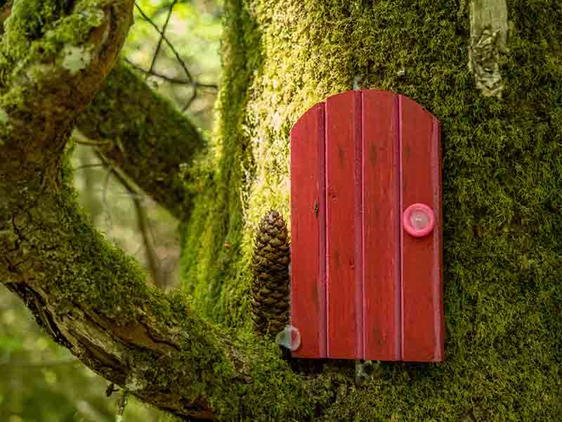 Fairy Door