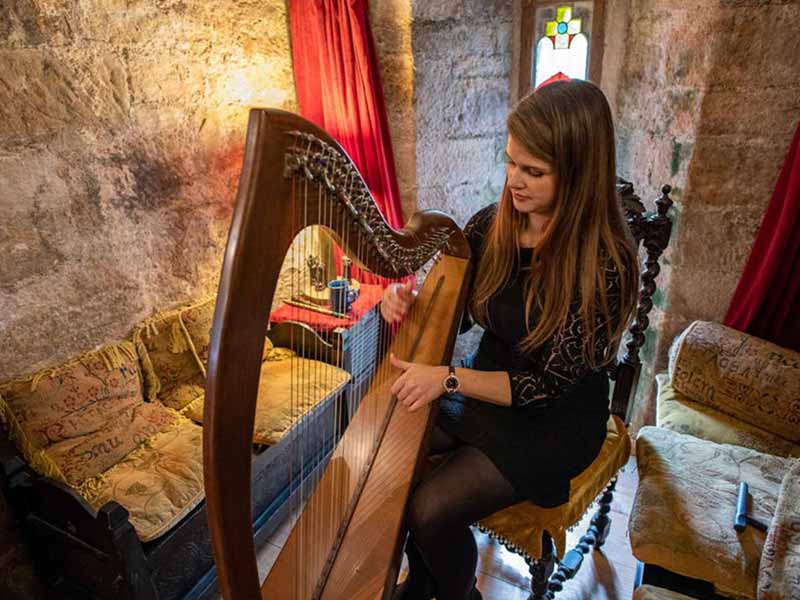 Harpist