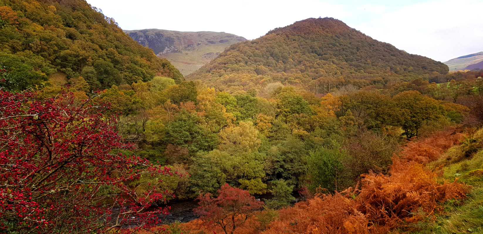 Ystraddffin, Llandovery Carmarthenshire