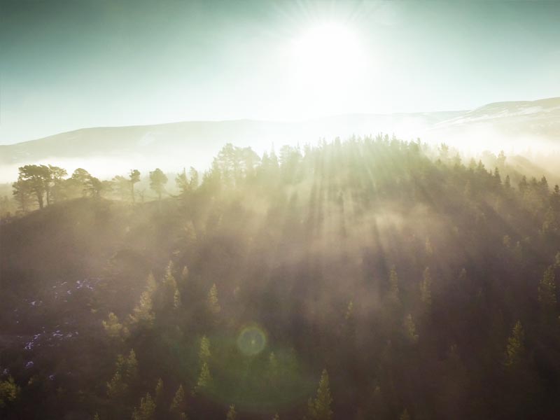 Cairngorms - Sunrise